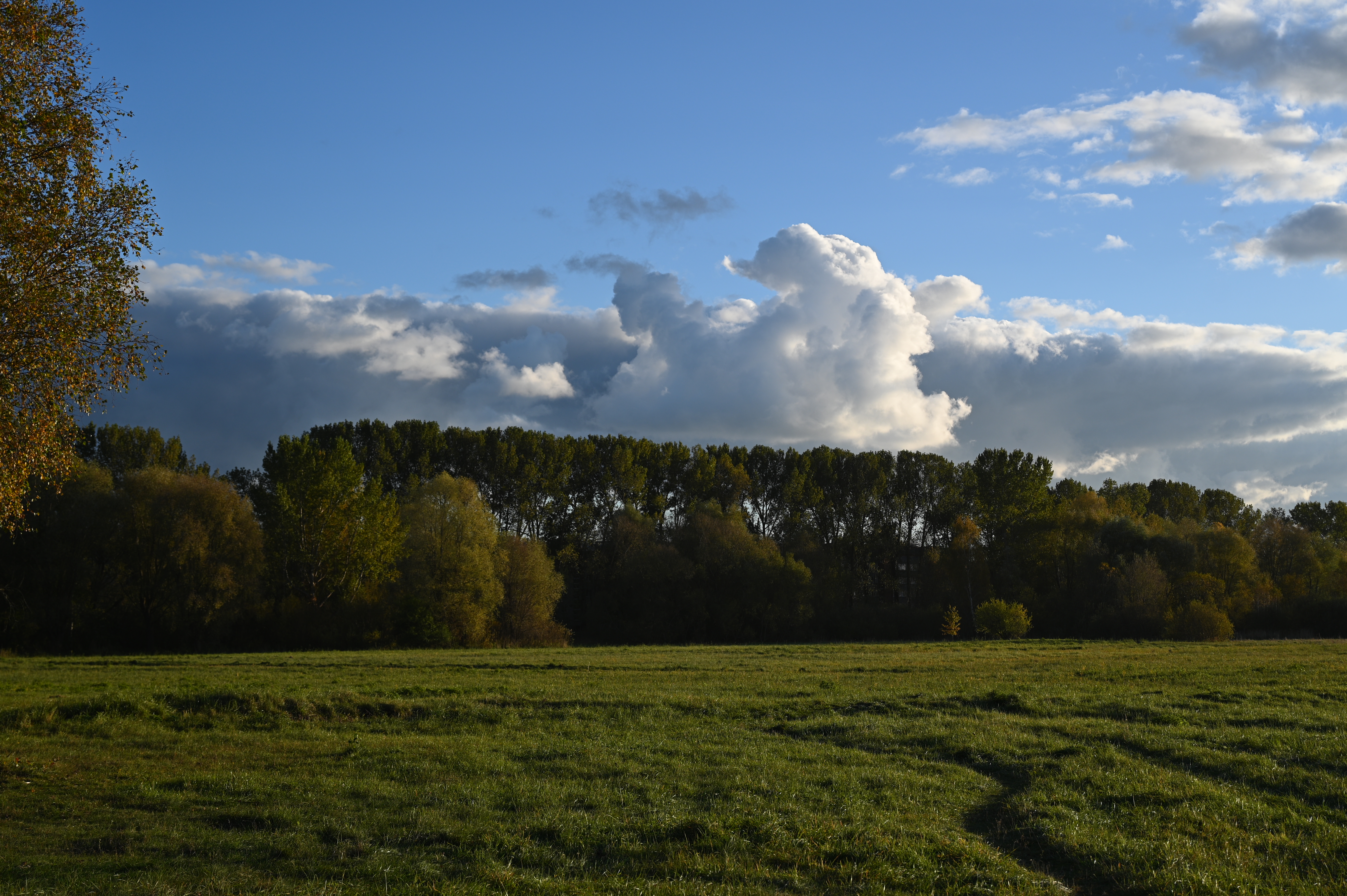 2025/10/18 - walk/DSC_0158.JPG